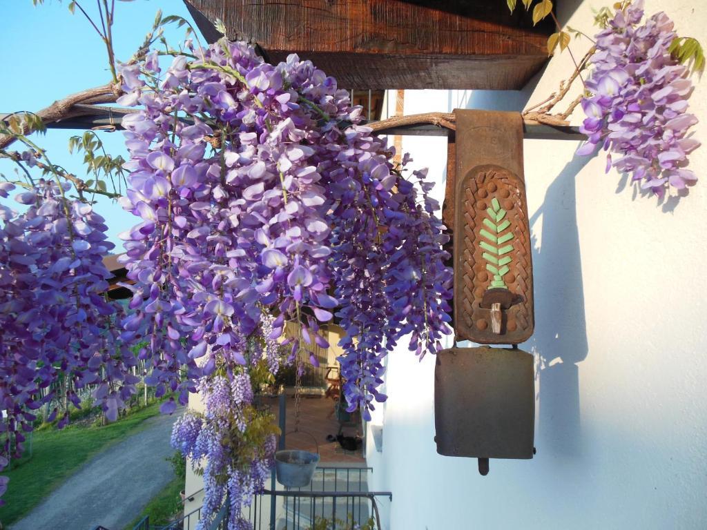 Agriturismo Affittacamere Barbarossa Dogliani Exterior foto