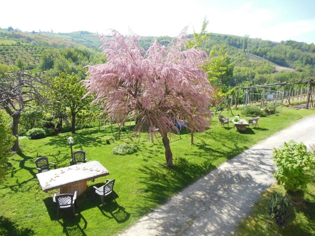 Agriturismo Affittacamere Barbarossa Dogliani Exterior foto