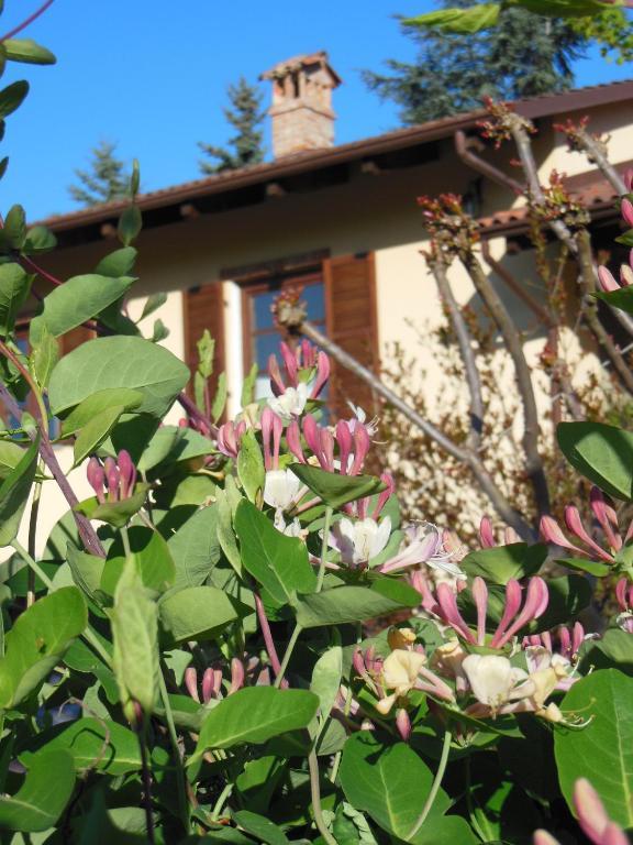 Agriturismo Affittacamere Barbarossa Dogliani Exterior foto